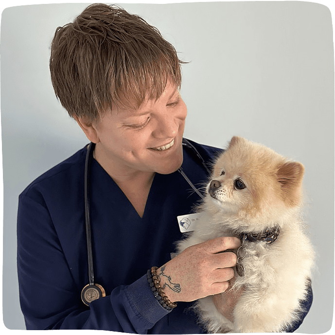 smiling male veterinarian holding small fluffy dog