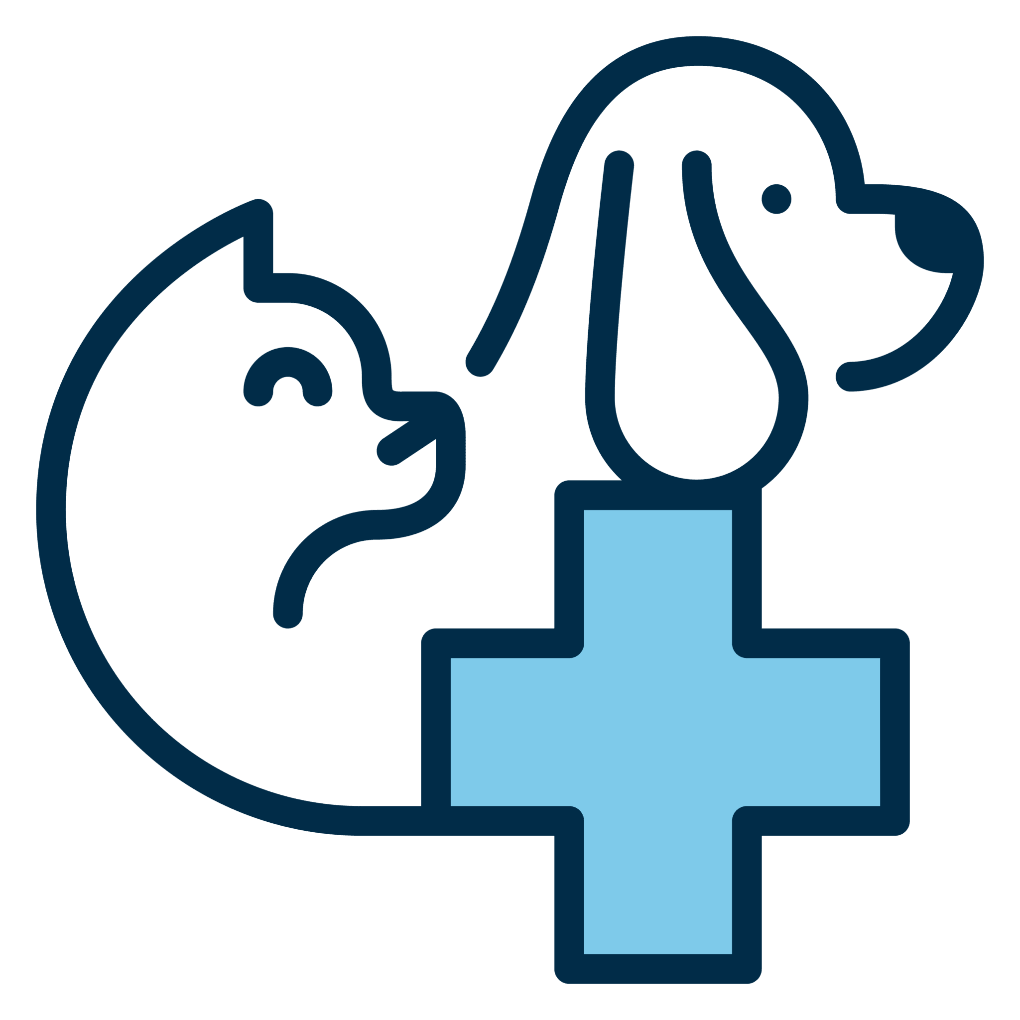 Pet Wellness Icon