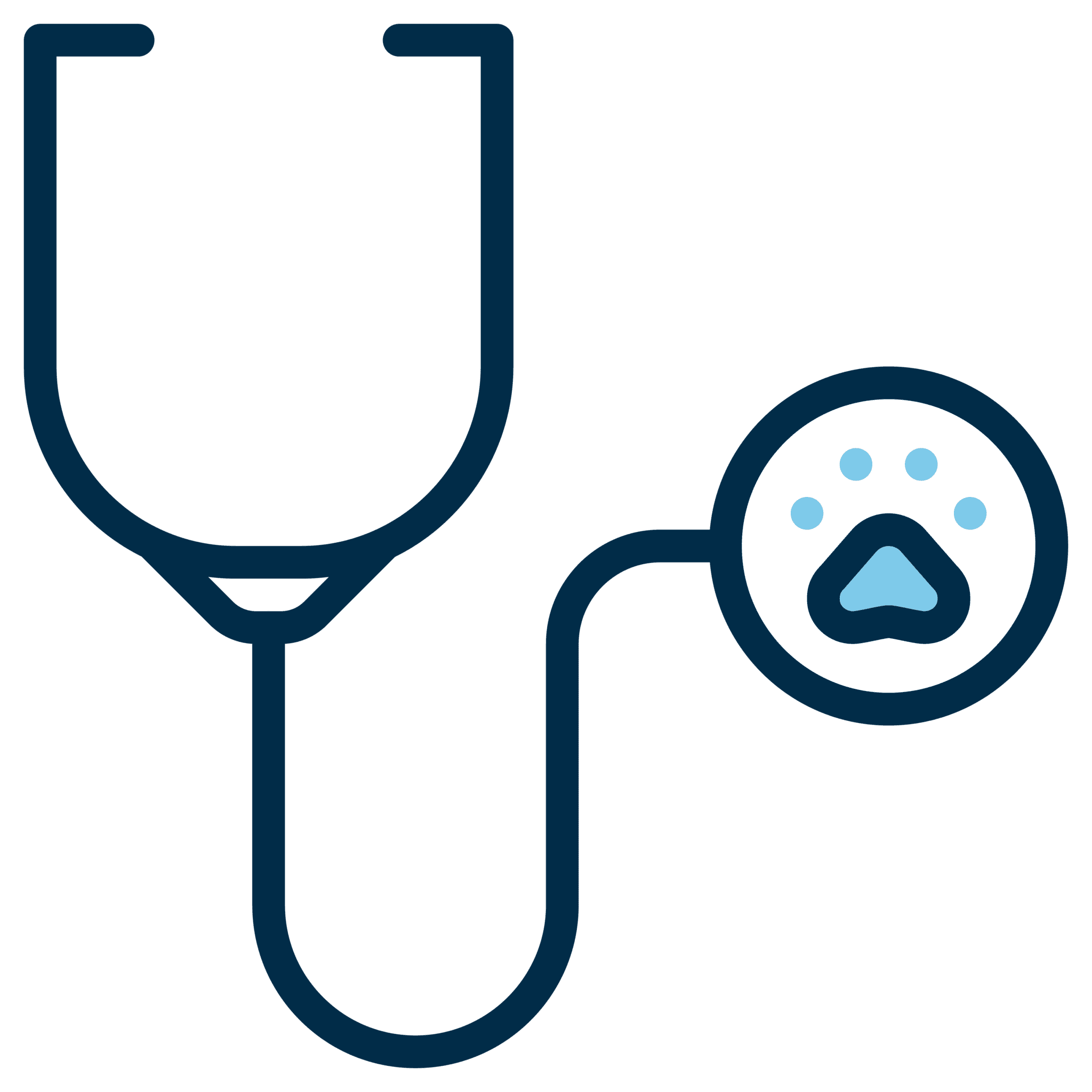 Stethoscope Icon